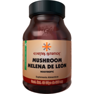 Mushroom Melena León Nootropic 40 Capsules Veganas 500 mg