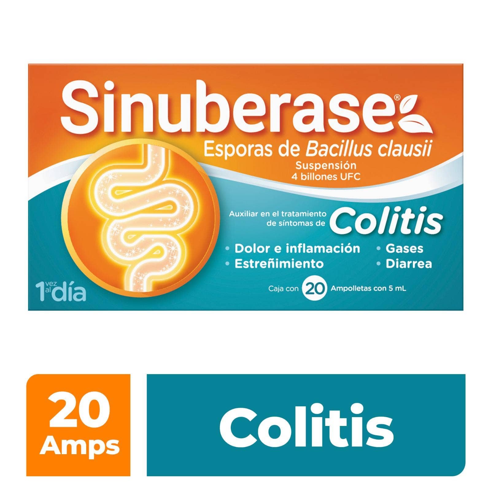 Sinuberase Probiotics in Suspension Bacillus Clausii 4 Billion CFU 20 Ampoules 5 ml. Relief Prolongado Desde Raíz for Colitis | CMC Pharmacy Cabo Delivery in Cabo Sinuberase Probiotics in Suspension Bacillus Clausii 4 Billion CFU 20 Ampoules 5 ml. Relief Prolongado Desde Raíz for Colitis