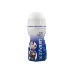 MENTHOL GEL 5% ROLL ON 65ML
