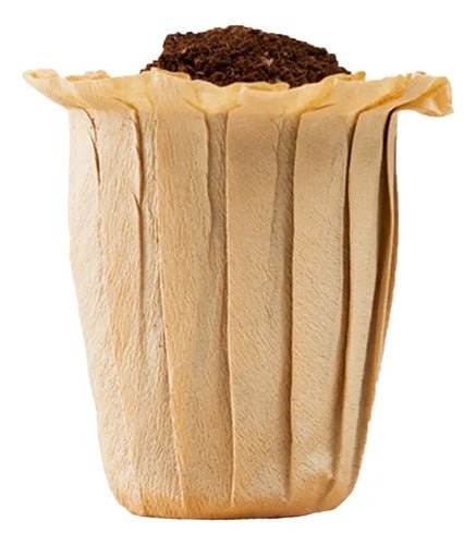 Pack 50 Filtros P/dripper Portable Coffee Brang | CMC Pharmacy Cabo Delivery in Cabo Pack 50 Filtros P/dripper Portable Coffee Brang