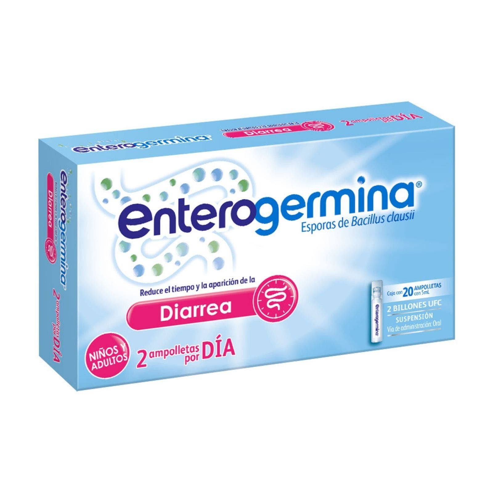 Enterogermina Suspension Bacillus Clausii with 2 Billion CFU 20 Ampoules 5 ml. Relieves Diarrhea, Restores & Protects for Kids & Adults | CMC Pharmacy Cabo Delivery in Cabo Enterogermina Suspension Bacillus Clausii with 2 Billion CFU 20 Ampoules 5 ml. Relieves Diarrhea, Restores & Protects for Kids & Adults