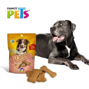 FANCY PETS Yummy Snack Flavor Carne 100 g